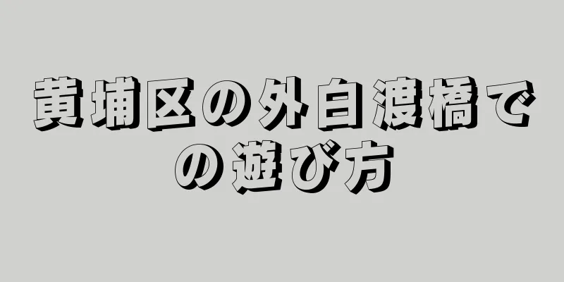 黄埔区の外白渡橋での遊び方