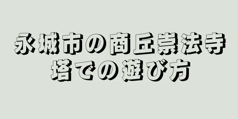 永城市の商丘崇法寺塔での遊び方