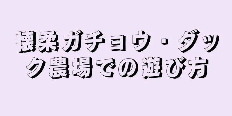 懐柔ガチョウ・ダック農場での遊び方
