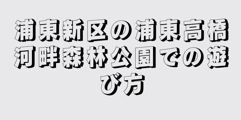 浦東新区の浦東高橋河畔森林公園での遊び方