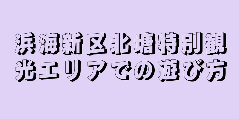 浜海新区北塘特別観光エリアでの遊び方