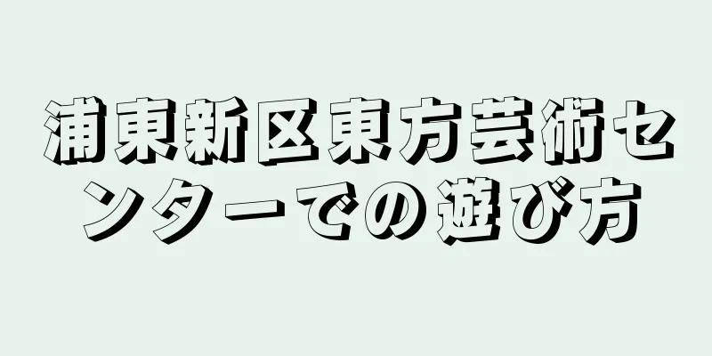 浦東新区東方芸術センターでの遊び方