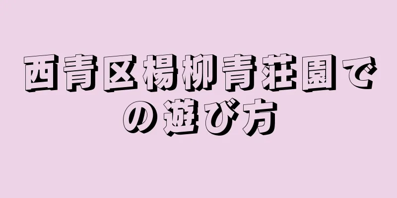 西青区楊柳青荘園での遊び方
