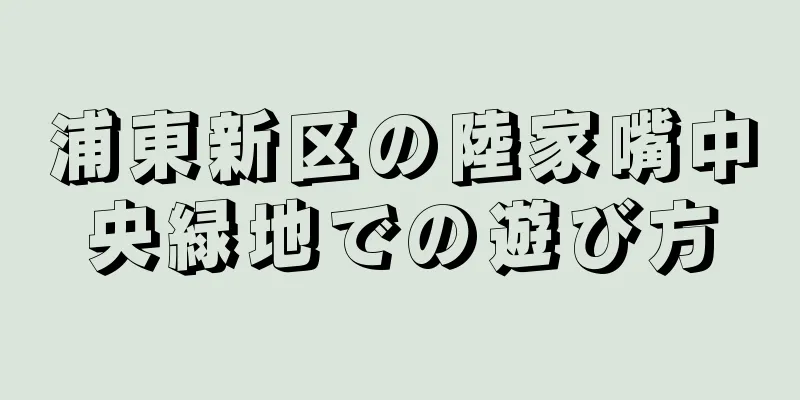 浦東新区の陸家嘴中央緑地での遊び方