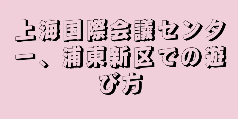 上海国際会議センター、浦東新区での遊び方