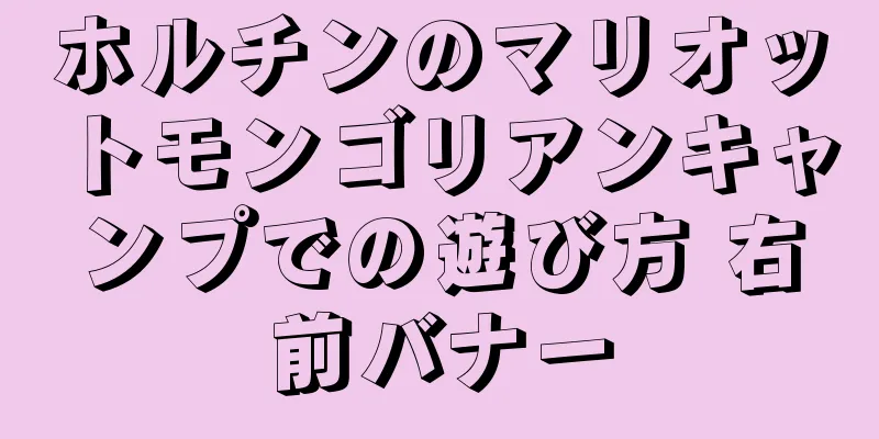 ホルチンのマリオットモンゴリアンキャンプでの遊び方 右前バナー