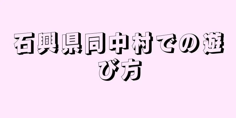 石興県同中村での遊び方