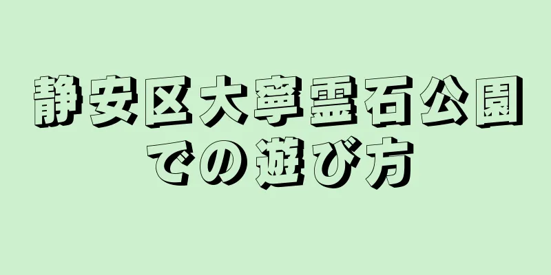 静安区大寧霊石公園での遊び方