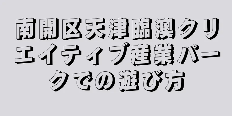 南開区天津臨澳クリエイティブ産業パークでの遊び方