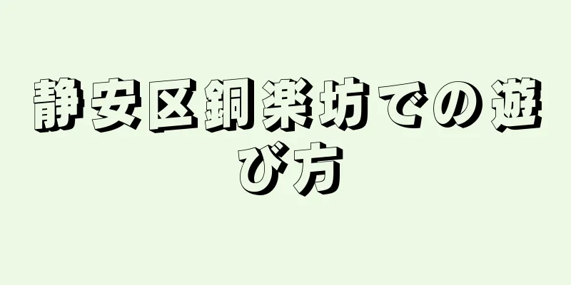 静安区銅楽坊での遊び方