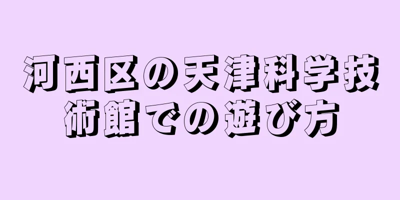 河西区の天津科学技術館での遊び方