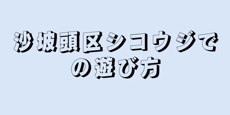 沙坡頭区シコウジでの遊び方