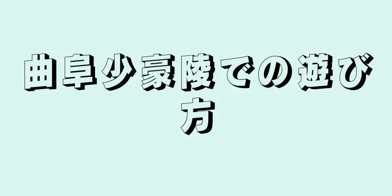 曲阜少豪陵での遊び方