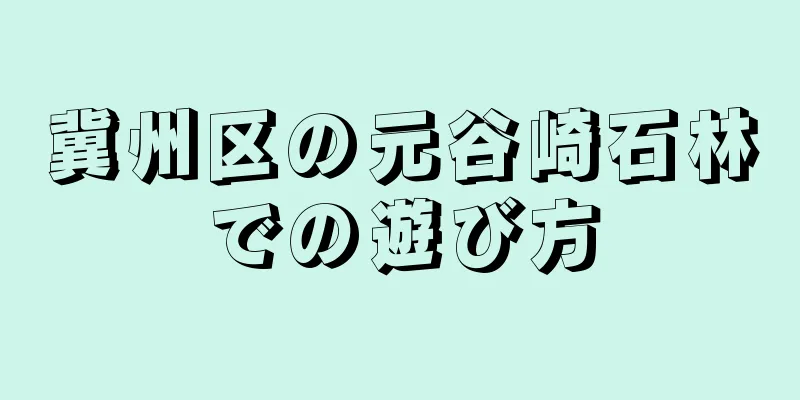 冀州区の元谷崎石林での遊び方