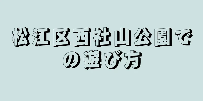 松江区西社山公園での遊び方