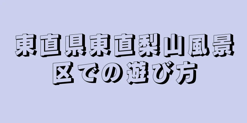 東直県東直梨山風景区での遊び方