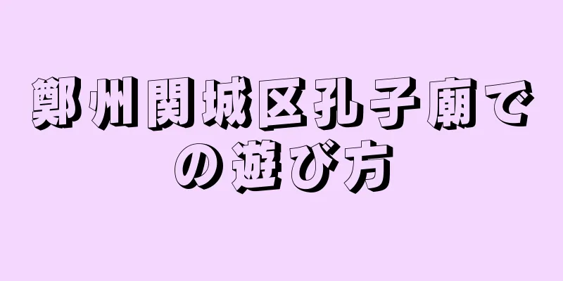 鄭州関城区孔子廟での遊び方