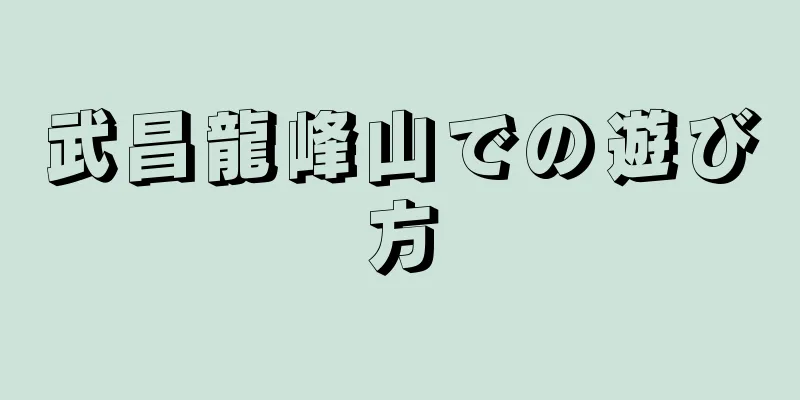 武昌龍峰山での遊び方