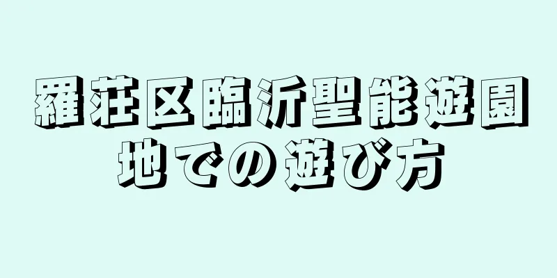 羅荘区臨沂聖能遊園地での遊び方