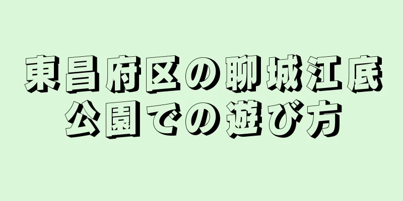 東昌府区の聊城江底公園での遊び方