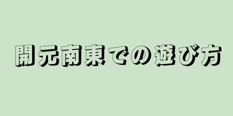開元南東での遊び方