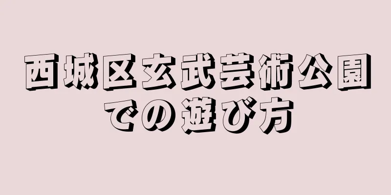西城区玄武芸術公園での遊び方