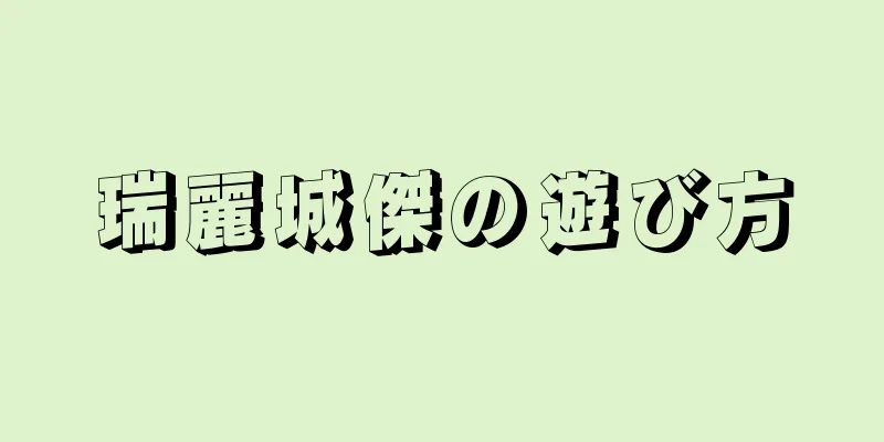 瑞麗城傑の遊び方