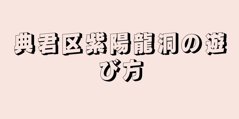 典君区紫陽龍洞の遊び方