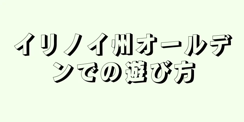 イリノイ州オールデンでの遊び方