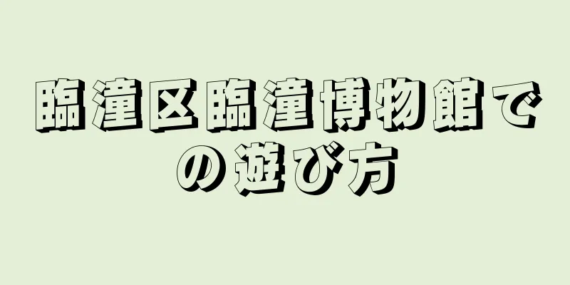 臨潼区臨潼博物館での遊び方
