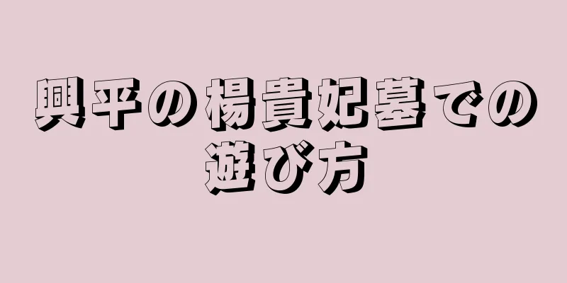 興平の楊貴妃墓での遊び方