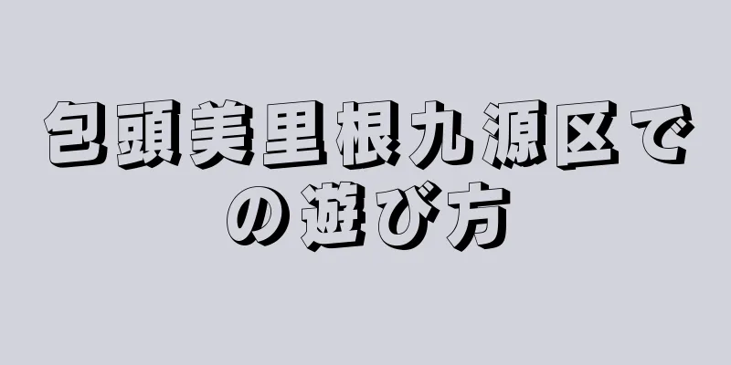 包頭美里根九源区での遊び方