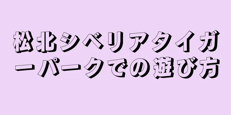 松北シベリアタイガーパークでの遊び方