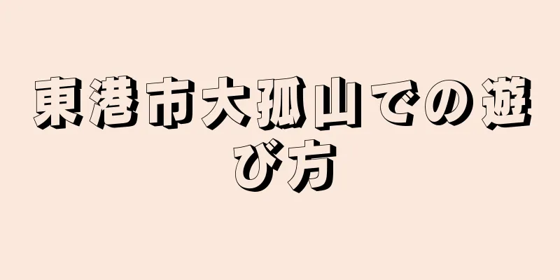 東港市大孤山での遊び方
