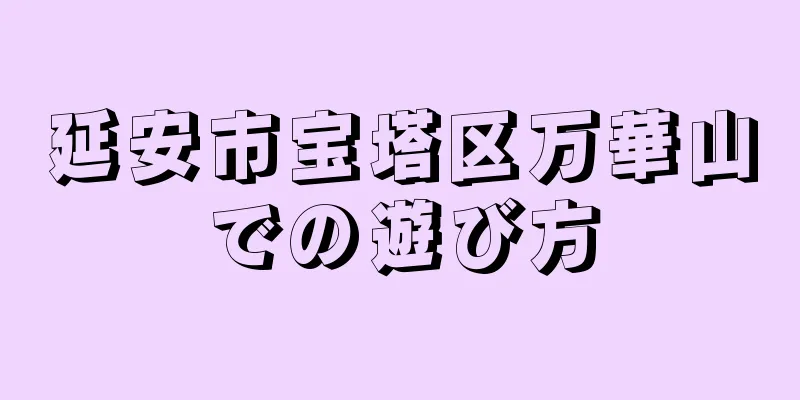 延安市宝塔区万華山での遊び方