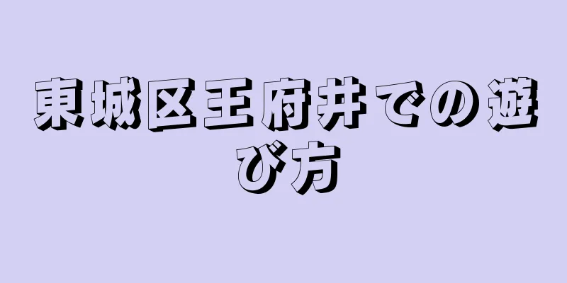 東城区王府井での遊び方