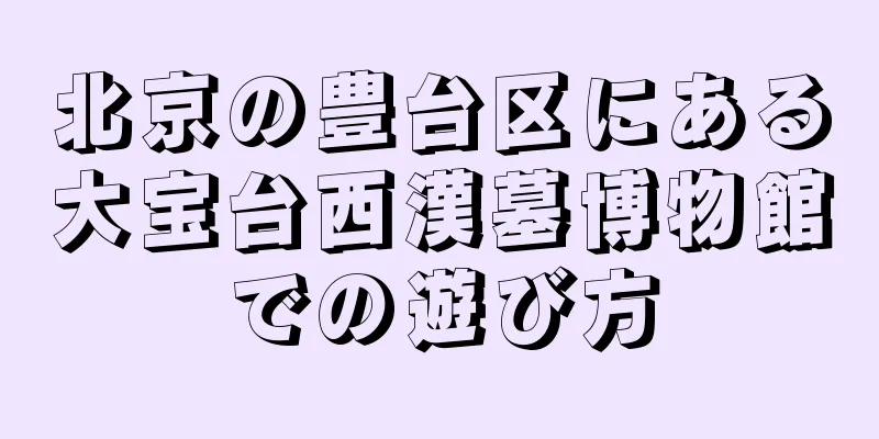 北京の豊台区にある大宝台西漢墓博物館での遊び方