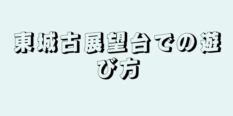 東城古展望台での遊び方