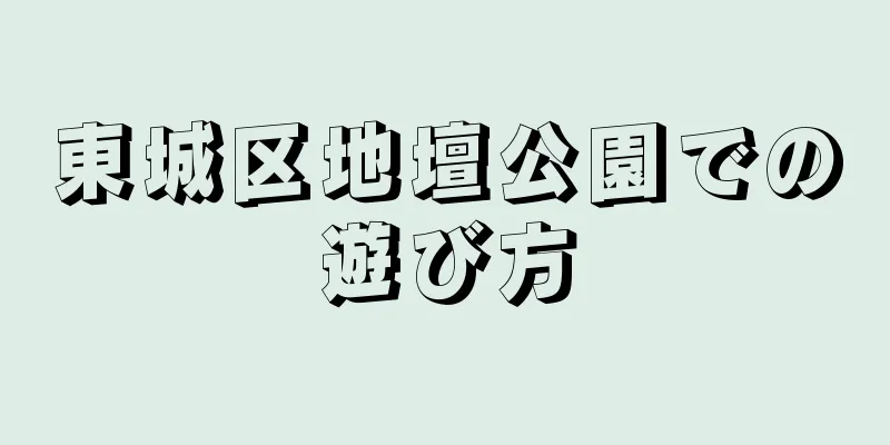 東城区地壇公園での遊び方