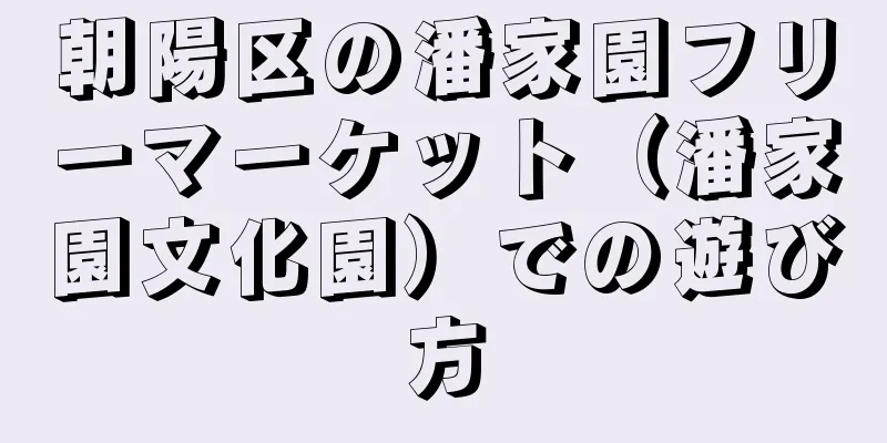 朝陽区の潘家園フリーマーケット（潘家園文化園）での遊び方