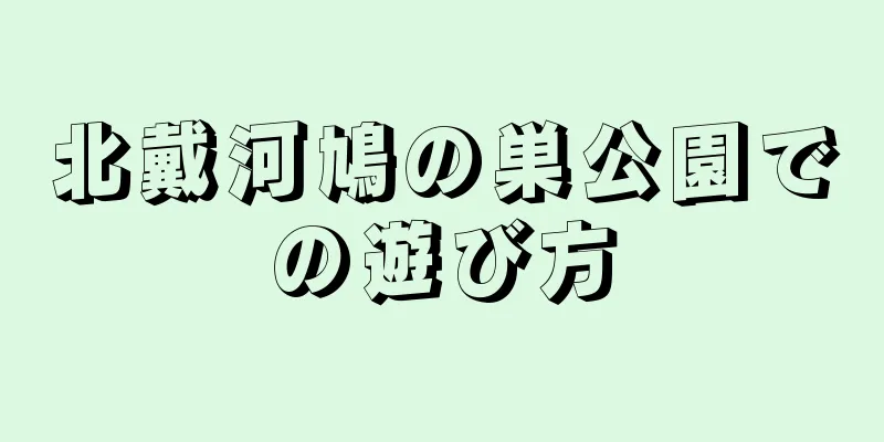 北戴河鳩の巣公園での遊び方