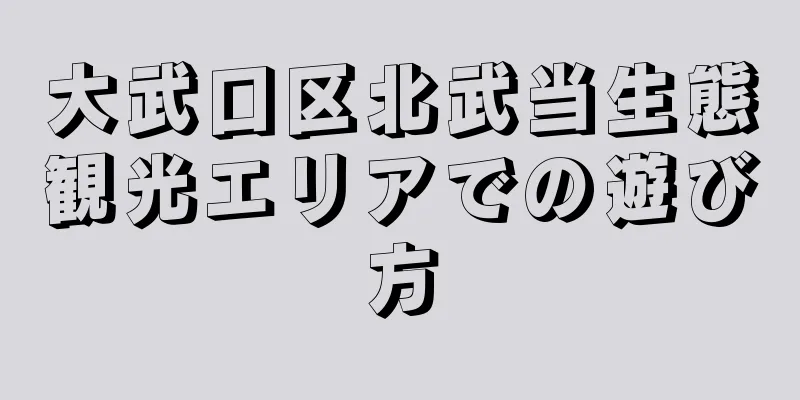 大武口区北武当生態観光エリアでの遊び方