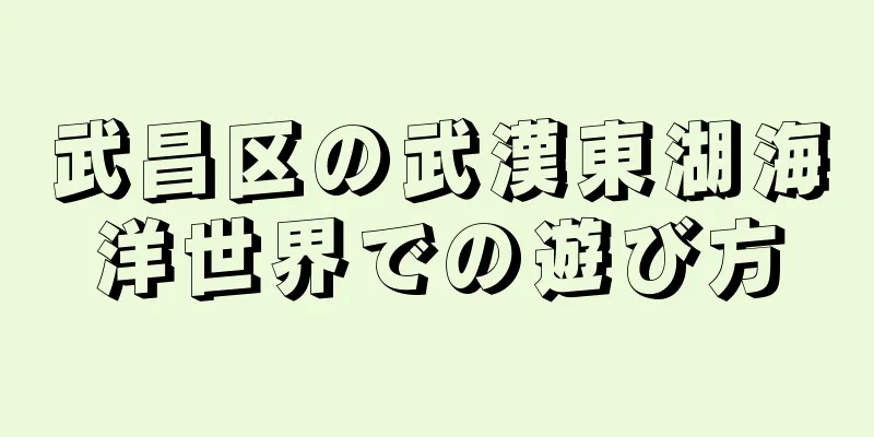 武昌区の武漢東湖海洋世界での遊び方