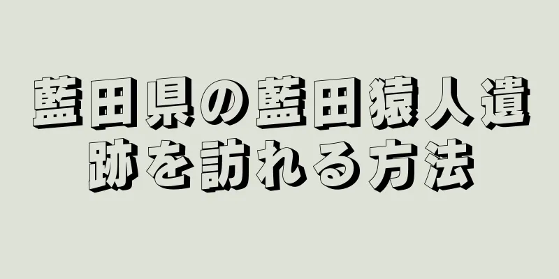 藍田県の藍田猿人遺跡を訪れる方法