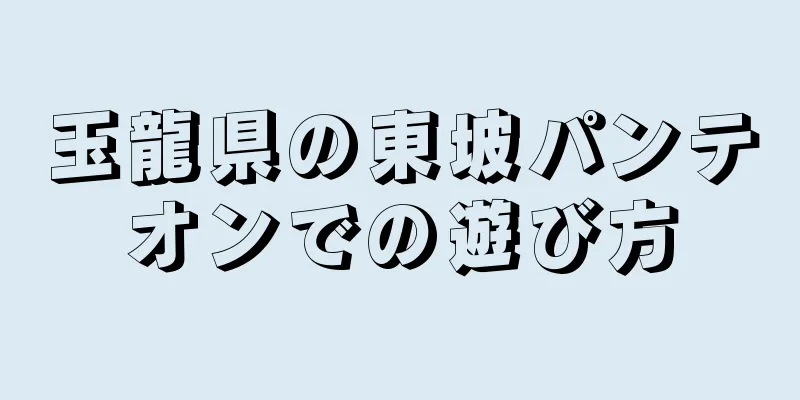 玉龍県の東坡パンテオンでの遊び方