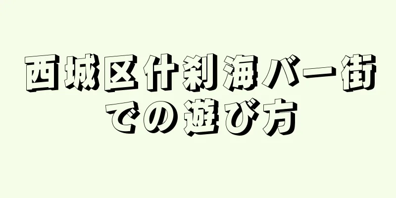 西城区什刹海バー街での遊び方