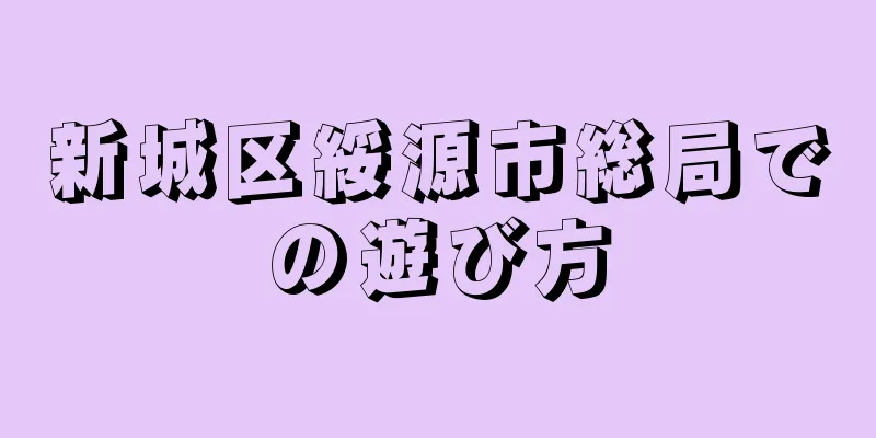 新城区綏源市総局での遊び方