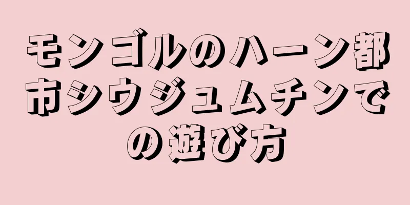 モンゴルのハーン都市シウジュムチンでの遊び方