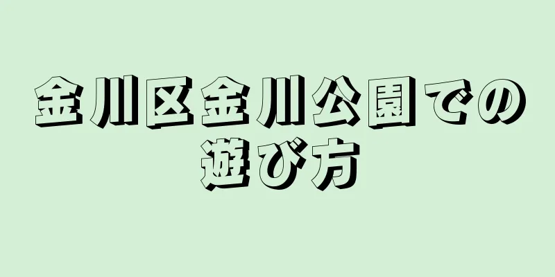 金川区金川公園での遊び方
