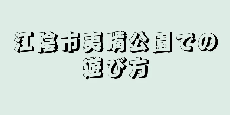 江陰市夷嘴公園での遊び方